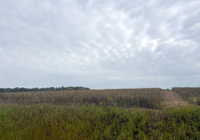 Photo 3 of Land for sale at Tbd (l8 Sm East) Flamingo St Nw, Isanti, MN 55040 | MLS# 7150377 | Listing updated on 2026-10-15