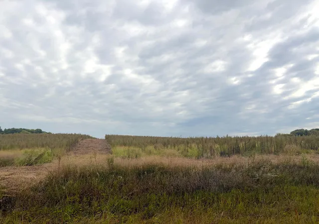 Photo 3 of Land for sale at Tbd (l8-sm East) Flamingo St NW, Isanti, MN 55040 | MLS# 7150377 | Listing updated on 2026-10-15