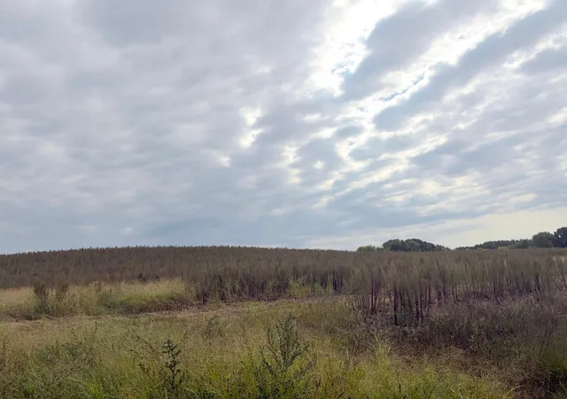 Photo 2 of Land for sale at Tbd (l9 Sm East) Flamingo St Nw, Isanti, MN 55040 | MLS# 7150381 | Listing updated on 2026-10-15