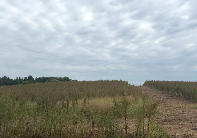 Photo 3 of Land for sale at Tbd (l9 Sm East) Flamingo St Nw, Isanti, MN 55040 | MLS# 7150381 | Listing updated on 2026-10-15