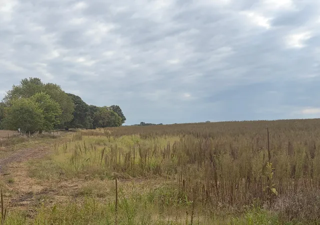Photo 3 of Land for sale at Tbd (l9-sm East) Flamingo St NW, Isanti, MN 55040 | MLS# 7150381 | Listing updated on 2026-10-15