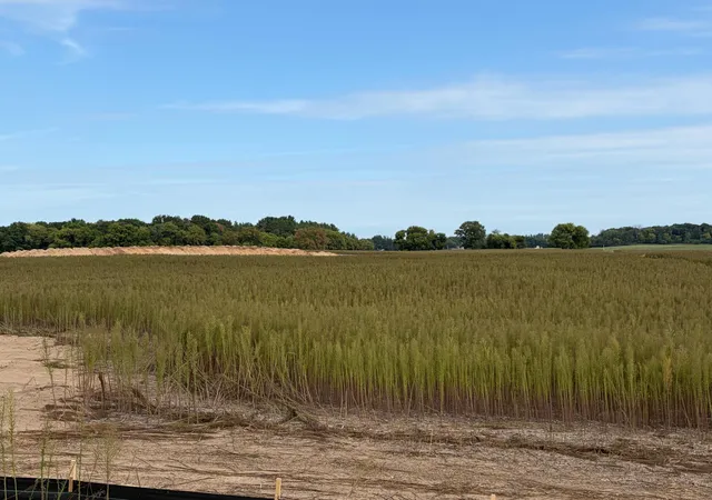 Photo 1 of Land for sale at Tbd (l10 Sm East) Yellowpine Ct Nw, Isanti, MN 55040 | MLS# 7150387 | Listing updated on 2026-10-16