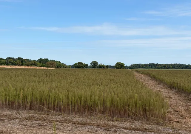 Photo 2 of Land for sale at Tbd (l10 Sm East) Yellowpine Ct Nw, Isanti, MN 55040 | MLS# 7150387 | Listing updated on 2026-10-16