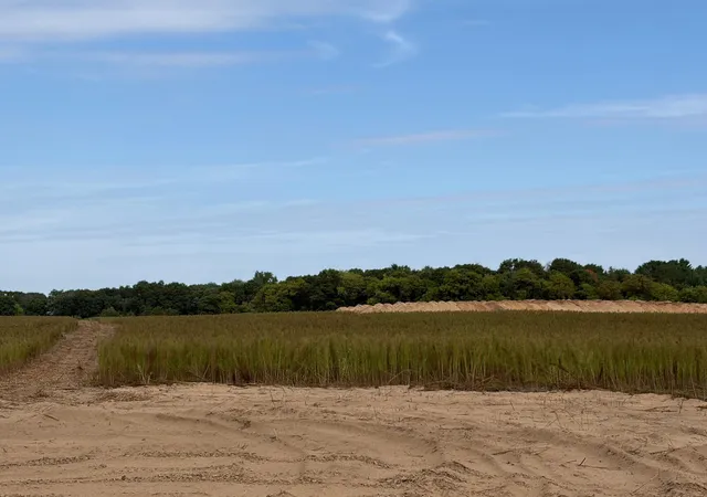 Photo 3 of Land for sale at Tbd (l10 Sm East) Yellowpine Ct Nw, Isanti, MN 55040 | MLS# 7150387 | Listing updated on 2026-10-16