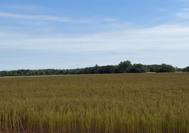 Photo 3 of Land for sale at Tbd (l11 Sm East) Yellowpine Ct Nw, Isanti, MN 55040 | MLS# 7150388 | Listing updated on 2026-10-23