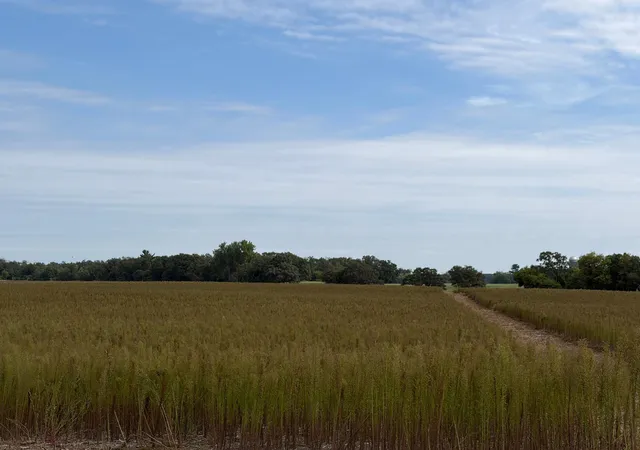 Photo 3 of Land for sale at Tbd (l11-sm East) Yellowpine Ct NW, Isanti, MN 55040 | MLS# 7150388 | Listing updated on 2026-10-23