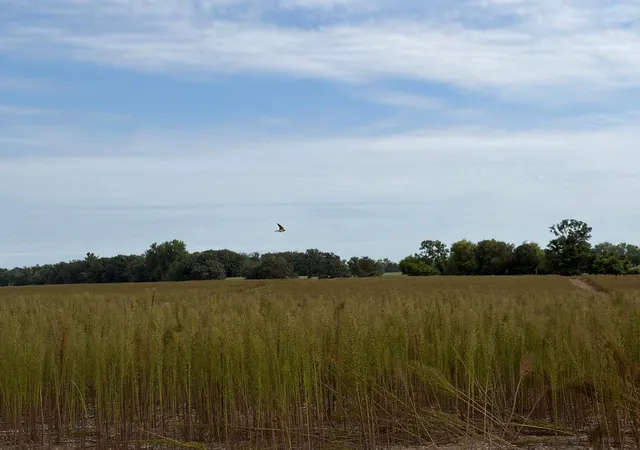 Photo 1 of Land for sale at Tbd (l12 Sm East) Yellowpine Ct Nw, Isanti, MN 55040 | MLS# 7150405 | Listing updated on 2026-10-15