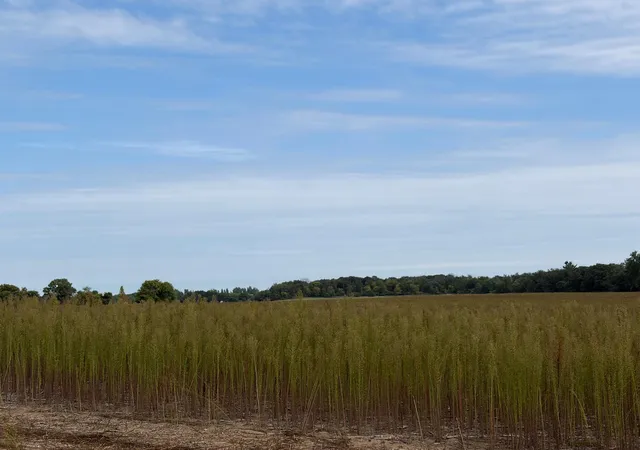 Photo 2 of Land for sale at Tbd (l12 Sm East) Yellowpine Ct Nw, Isanti, MN 55040 | MLS# 7150405 | Listing updated on 2026-10-15