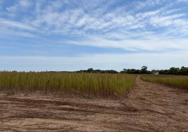 Photo 3 of Land for sale at Tbd (l12 Sm East) Yellowpine Ct Nw, Isanti, MN 55040 | MLS# 7150405 | Listing updated on 2026-10-15