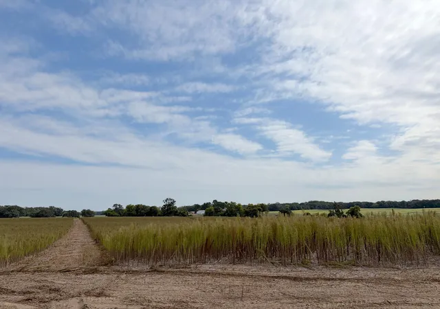 Photo 3 of Land for sale at Tbd (l12-sm East) Yellowpine Ct NW, Isanti, MN 55040 | MLS# 7150405 | Listing updated on 2026-10-15