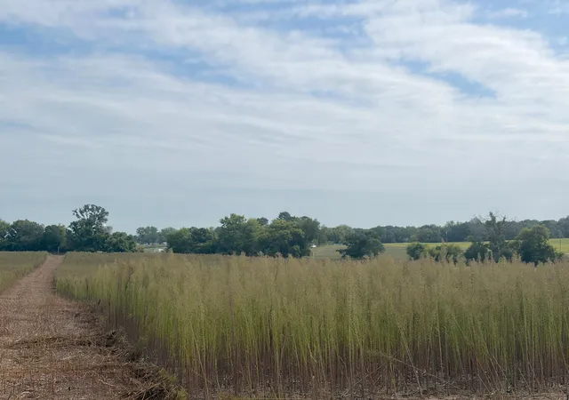 Photo 2 of Land for sale at Tbd (l13 Sm East) Yellowpine Ct Nw, Isanti, MN 55040 | MLS# 7150406 | Listing updated on 2026-10-15