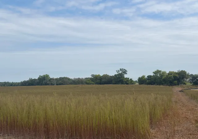Photo 3 of Land for sale at Tbd (l13 Sm East) Yellowpine Ct Nw, Isanti, MN 55040 | MLS# 7150406 | Listing updated on 2026-10-15