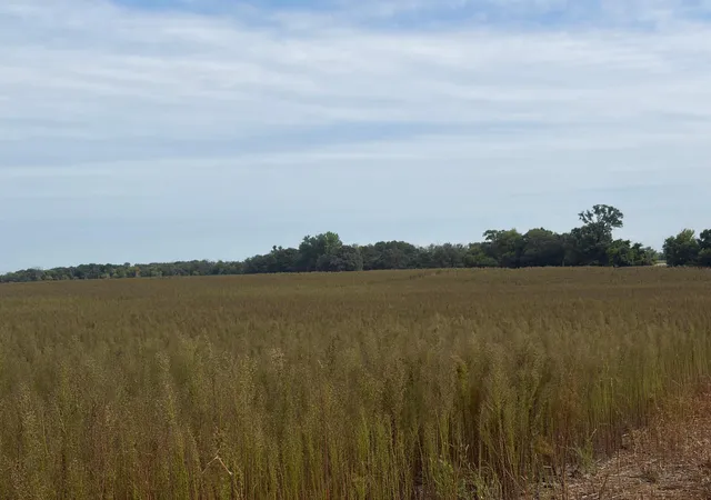 Photo 3 of Land for sale at Tbd (l13-sm East) Yellowpine Ct NW, Isanti, MN 55040 | MLS# 7150406 | Listing updated on 2026-10-15