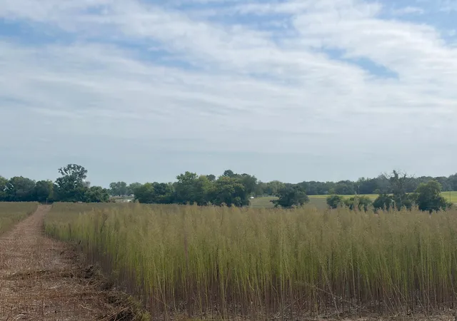 Photo 1 of Land for sale at Tbd (l14 Sm East) Yellowpine Ct Nw, Isanti, MN 55040 | MLS# 7150407 | Listing updated on 2026-10-15