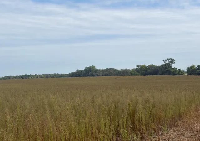 Photo 3 of Land for sale at Tbd (l14 Sm East) Yellowpine Ct Nw, Isanti, MN 55040 | MLS# 7150407 | Listing updated on 2026-10-15
