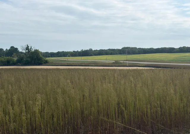 Photo 3 of Land for sale at Tbd (l14-sm East) Yellowpine Ct NW, Isanti, MN 55040 | MLS# 7150407 | Listing updated on 2026-10-15