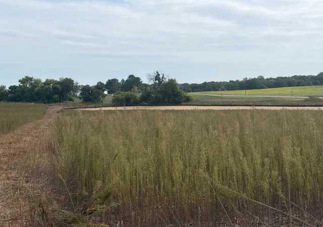 Photo 4 of Land for sale at Tbd (l14-sm East) Yellowpine Ct NW, Isanti, MN 55040 | MLS# 7150407 | Listing updated on 2026-10-15