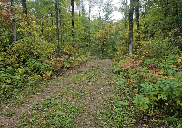 Photo 1 of Land for sale at 20012 Nature Trl, Ironton, MN 56455 | MLS# 7150542 | Listing updated on 2026-10-05