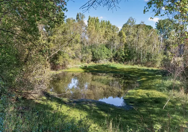 Photo 4 of Single family home for sale at 6612 Sherman Lake Rd, Hugo, MN 55038 | MLS# 7150549 | Listing updated on 2026-10-08