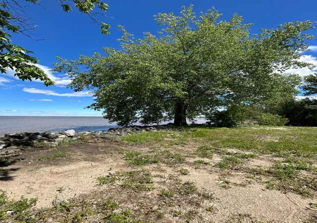 Photo 1 of Land for sale at 4548 Graceton Beach Rd Nw, Williams, MN 56686 | MLS# 7150708 | Listing updated on 2026-09-25