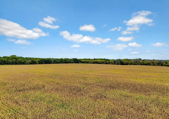 Photo 1 of Land for sale at 122xx 140 Maxwell, Chisago City, MN 55013 | MLS# 7150795 | Listing updated on 2026-10-01