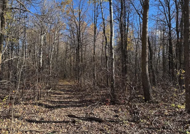 Photo 1 of Land for sale at Tbd Spangrud Ct Ne, Kelliher, MN 56650 | MLS# 7150861 | Listing updated on 2026-09-26