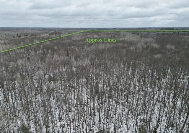 Photo 3 of Land for sale at Tbd Spangrud Ct Ne, Kelliher, MN 56650 | MLS# 7150861 | Listing updated on 2026-09-26