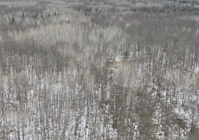 Photo 3 of Land for sale at Tbd Spangrud Ct NE, Kelliher, MN 56650 | MLS# 7150861 | Listing updated on 2026-09-26
