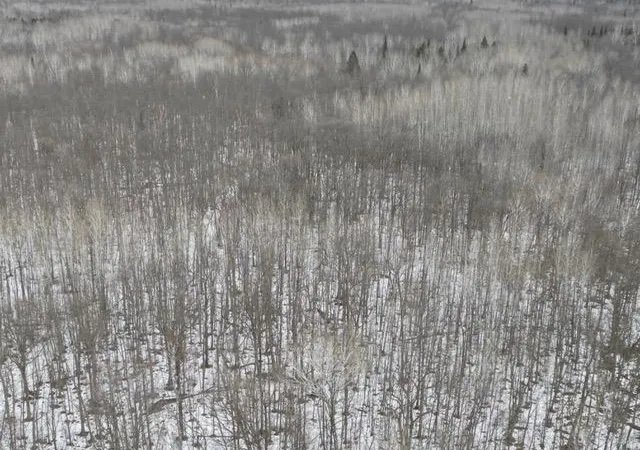 Photo 4 of Land for sale at Tbd Spangrud Ct NE, Kelliher, MN 56650 | MLS# 7150861 | Listing updated on 2026-09-26