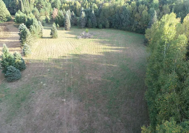 Photo 3 of Land for sale at Tbd Xxxx 217th Ave Ne, Linwood Twp, MN 55079 | MLS# 7151068 | Listing updated on 2026-10-06