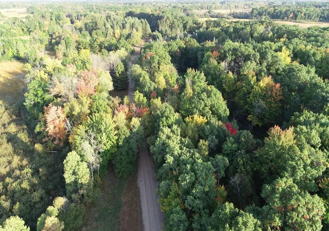 Photo 4 of Land for sale at Tbd Xxxx 217th Ave NE, Linwood Twp, MN 55079 | MLS# 7151068 | Listing updated on 2026-10-06