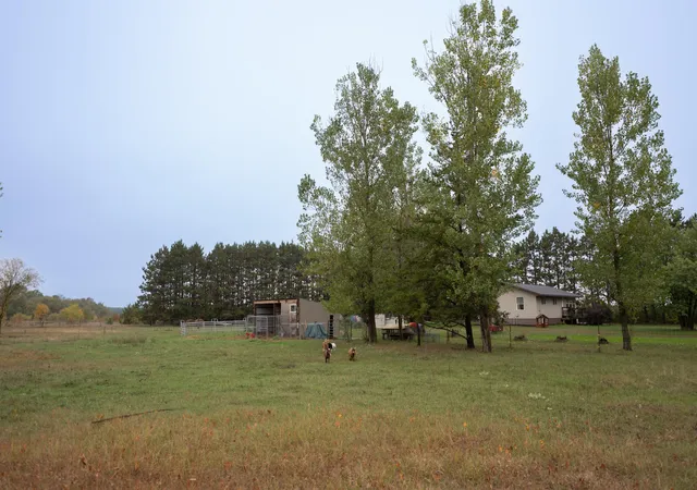 Photo 4 of Single family home for sale at 46215 331st Avenue, Motley, MN 56466 | MLS# 7151126 | Listing updated on 2026-09-30