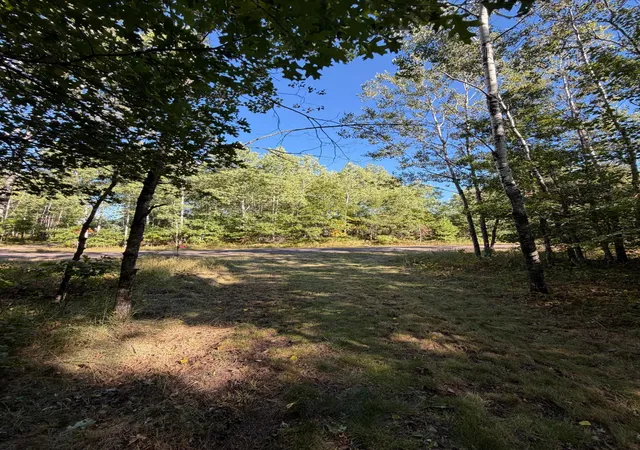 Photo 3 of Land for sale at 29922 N Bay Dr, Danbury, WI 54830 | MLS# 7151209 | Listing updated on 2026-09-29