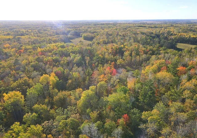 Photo 1 of Land for sale at Xxx Us 71, Park Rapids, MN 56470 | MLS# 7151293 | Listing updated on 2026-10-03