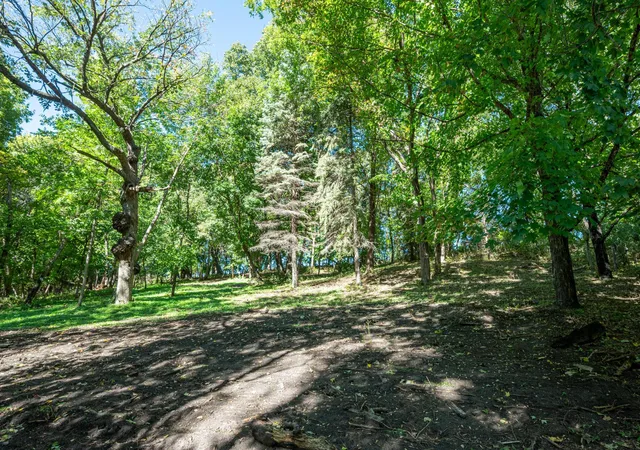 Photo 3 of Land for sale at Tbd 397th Street, Perham, MN 56573 | MLS# 7151344 | Listing updated on 2026-10-01