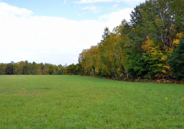 Photo 3 of Land for sale at Tbd Juneberry Dr, Park Rapids, MN 56470 | MLS# 7151692 | Listing updated on 2026-09-28
