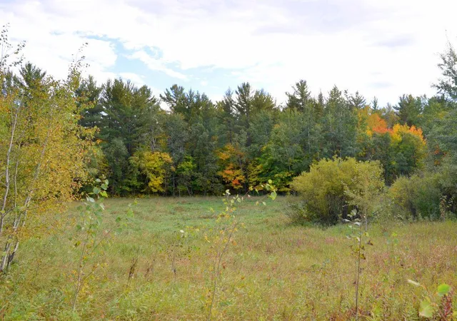 Photo 4 of Land for sale at Tbd Juneberry Dr, Park Rapids, MN 56470 | MLS# 7151692 | Listing updated on 2026-09-28