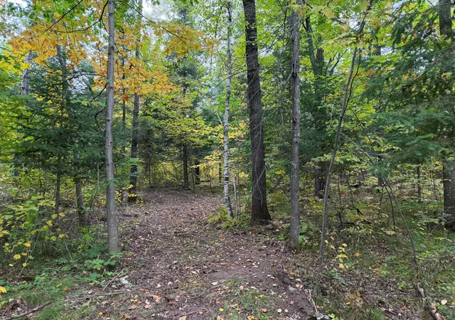 Photo 1 of Land for sale at 51181 Sand Crk Rd, Bruno, MN 55712 | MLS# 7151732 | Listing updated on 2026-09-29