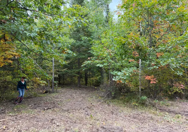 Photo 2 of Land for sale at 51181 Sand Crk Rd, Bruno, MN 55712 | MLS# 7151732 | Listing updated on 2026-09-29
