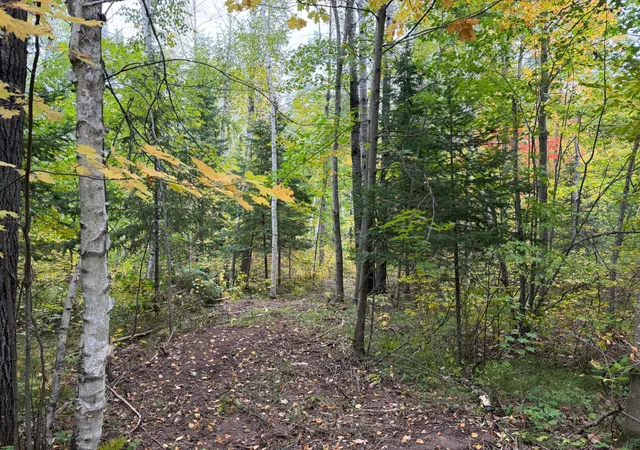 Photo 3 of Land for sale at 51181 Sand Crk Rd, Bruno, MN 55712 | MLS# 7151732 | Listing updated on 2026-09-29