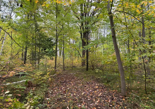 Photo 3 of Land for sale at 51181 Sand Crk Rd, Bruno, MN 55712 | MLS# 7151732 | Listing updated on 2026-09-29