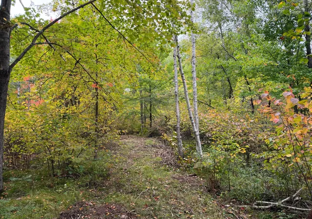 Photo 4 of Land for sale at 51181 Sand Crk Rd, Bruno, MN 55712 | MLS# 7151732 | Listing updated on 2026-09-29