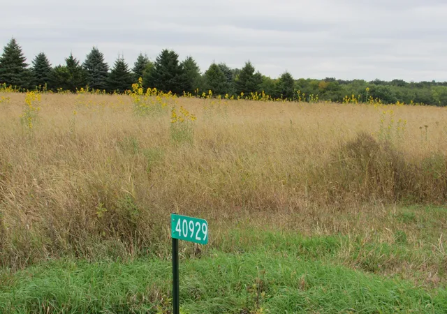 Photo 1 of Land for sale at 40929 95th Street, Blue Earth, MN 56013 | MLS# 7151782 | Listing updated on 2026-09-28