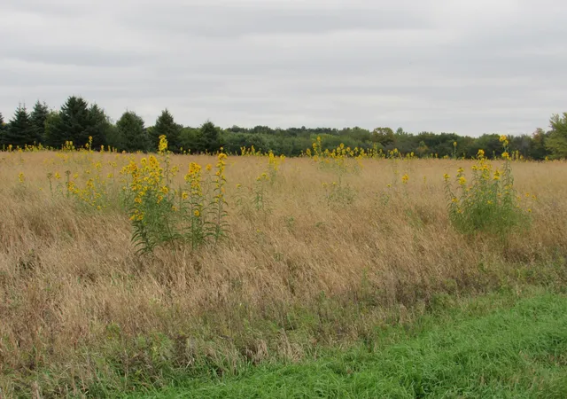 Photo 3 of Land for sale at 40929 95th Street, Blue Earth, MN 56013 | MLS# 7151782 | Listing updated on 2026-09-28