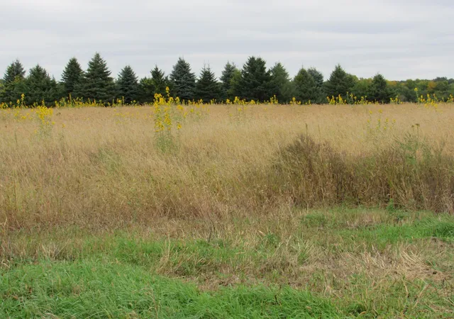 Photo 3 of Land for sale at 40929 95th Street, Blue Earth, MN 56013 | MLS# 7151782 | Listing updated on 2026-09-28