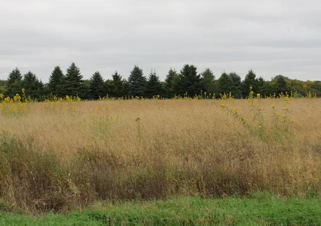 Photo 4 of Land for sale at 40929 95th Street, Blue Earth, MN 56013 | MLS# 7151782 | Listing updated on 2026-09-28