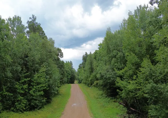 Photo 3 of Land for sale at Tbd Raccoon And Flower Trl, Breezy Point, MN 56472 | MLS# 7151869 | Listing updated on 2026-09-30