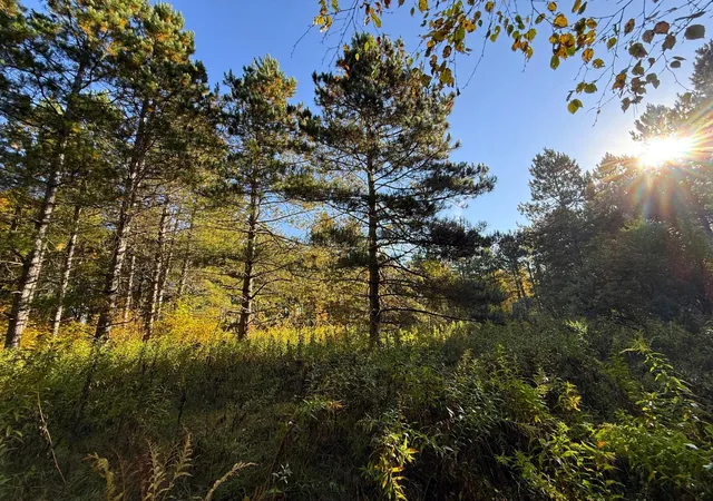 Photo 1 of Land for sale at Xxx 540th Lane, Palisade, MN 56469 | MLS# 7151901 | Listing updated on 2026-10-01