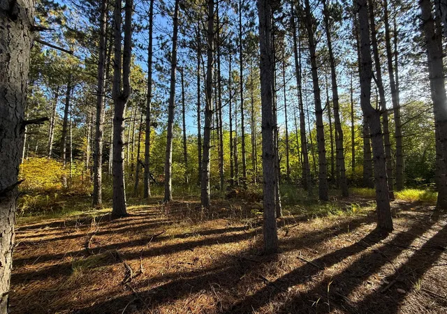 Photo 2 of Land for sale at Xxx 540th Lane, Palisade, MN 56469 | MLS# 7151901 | Listing updated on 2026-10-01