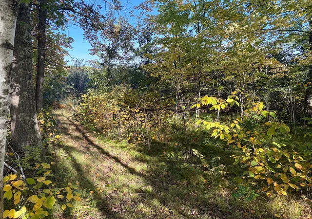 Land for sale at Tbd 248th Place, McGregor, MN 55760 | MLS# 7151918